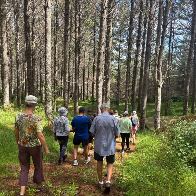 mindfulness retreat northland nz 768x768