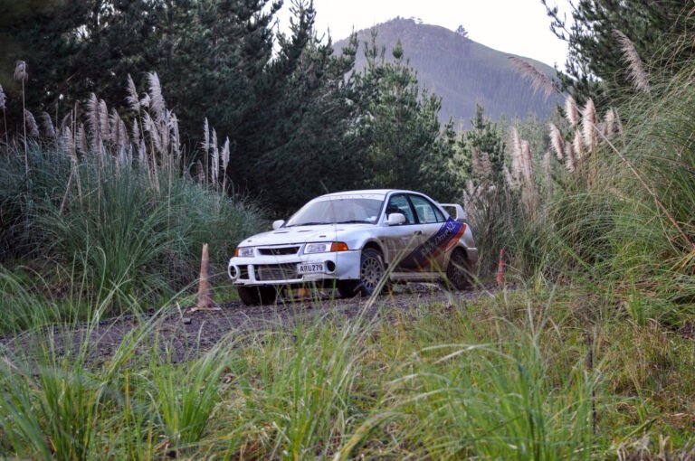 Rally Drive NZ 768x510