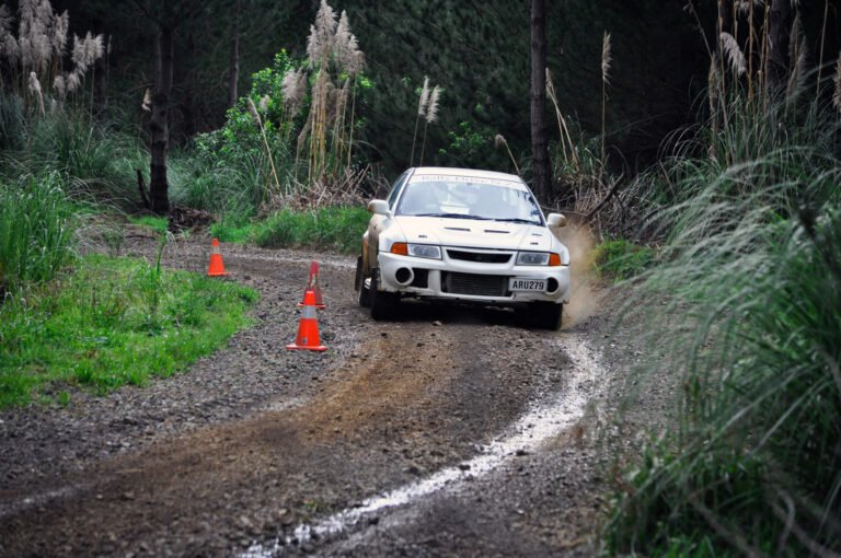 rally driving Maramarua Forest 768x510