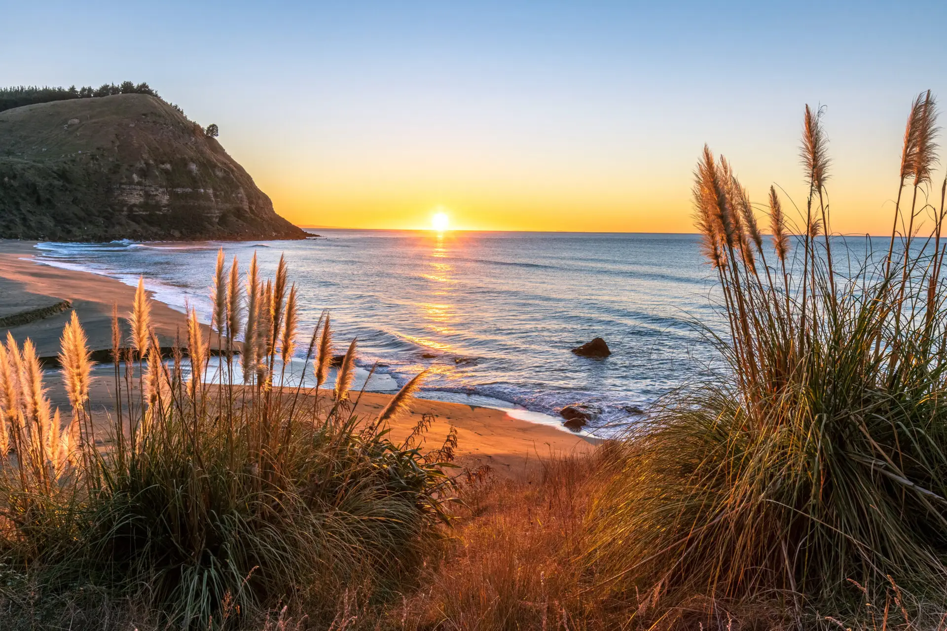 New Zealand Travel Guide