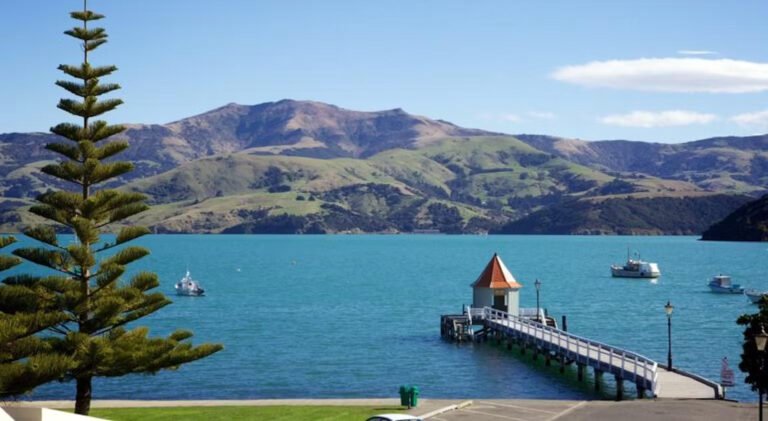 akaroa waterfront apartments 768x421