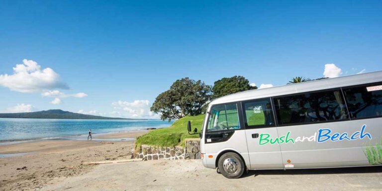auckland beach tour 768x384
