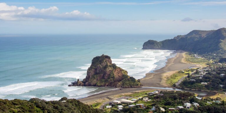 auckland day tours 768x384