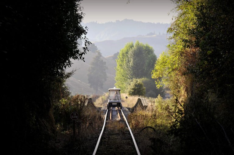 forgotten world adventures 768x511