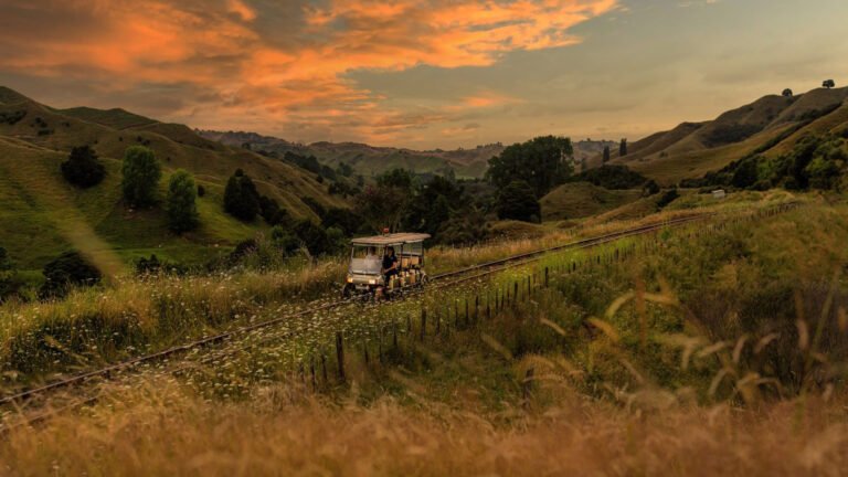 railway tour new zealand 1 768x432