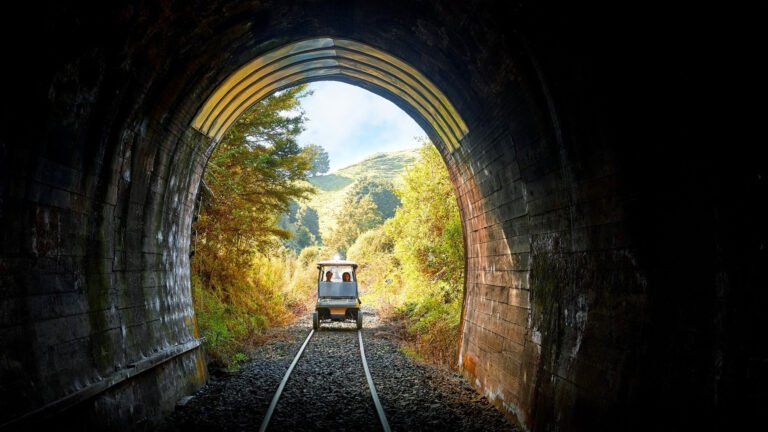 tour forgotten world nz 1 768x432