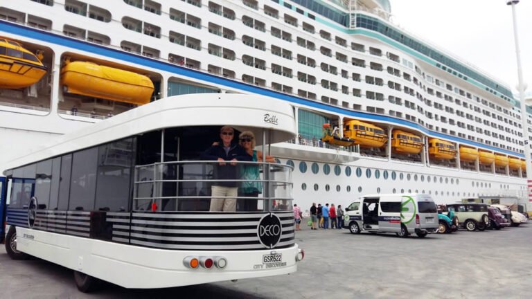 Napier cruise ship tours 768x432