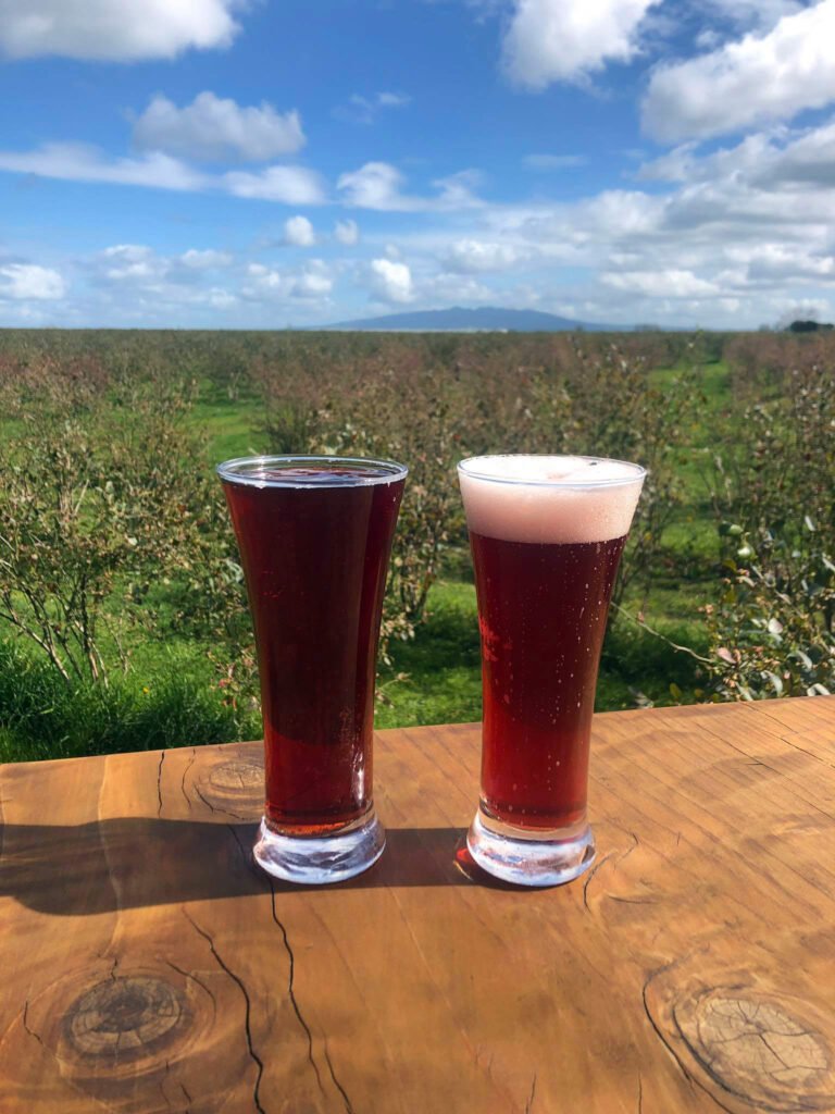 Organic blueberry cider NZ 768x1024