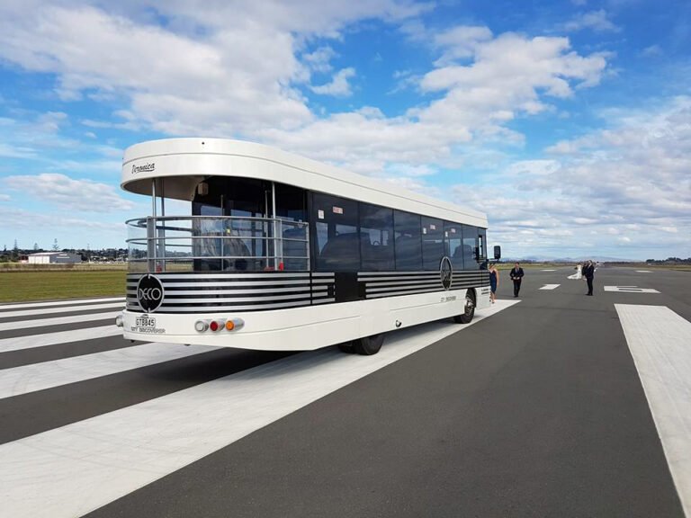 Party bus Hawkes Bay 768x576