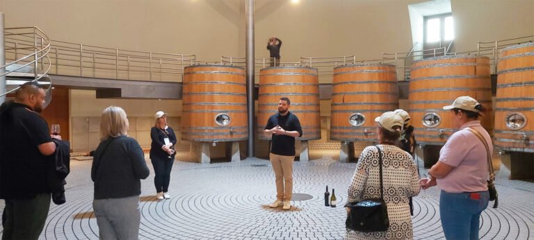 Wine tour Hawkes Bay 768x346