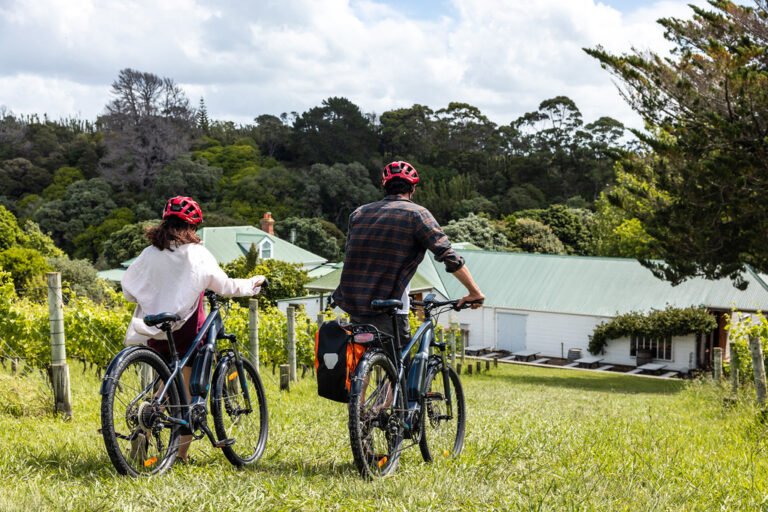 e bike wine tour waiheke 768x512