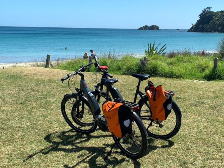 ebike hire waiheke 768x576