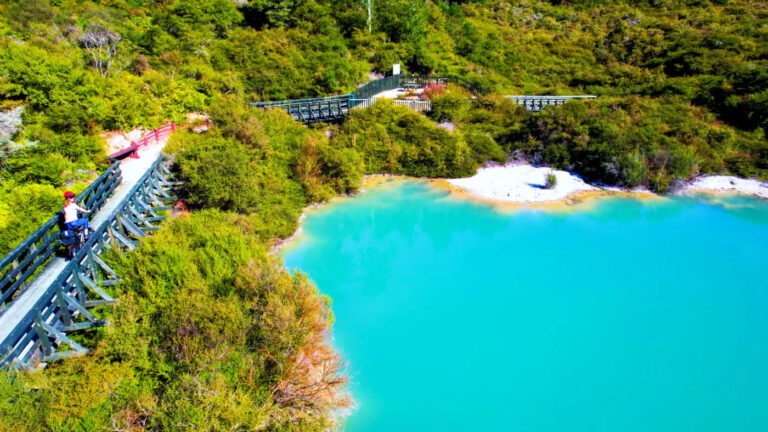 geothermal park Rotorua 1 768x432