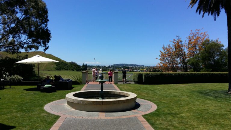 private tour Hawkes Bay 768x432