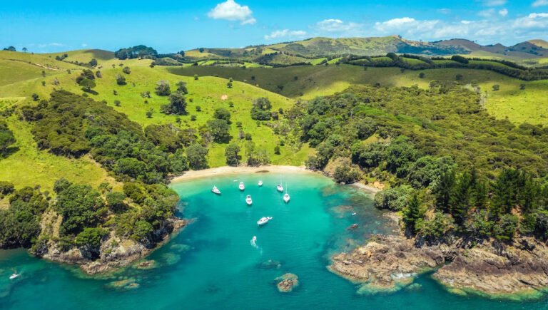 waiheke bike hire 768x435
