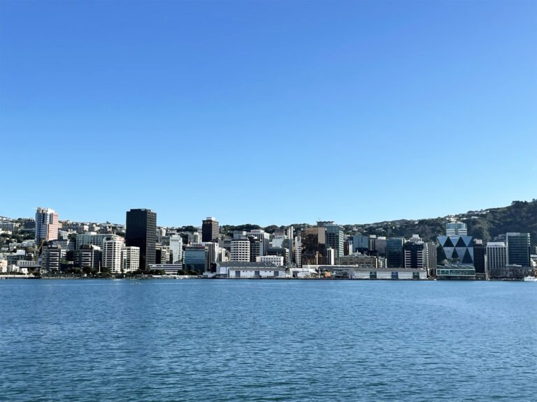 Kaewa Tours Wellington 768x576