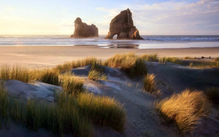accommodation Wharariki Beach 768x482
