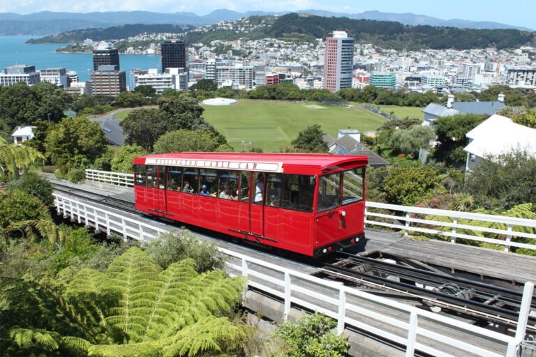 day tours Wellington 768x512