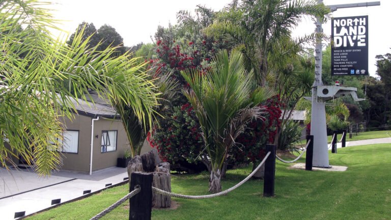 dive lodge bay of islands 768x432