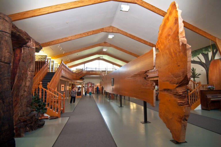 kauri tree museum 768x510