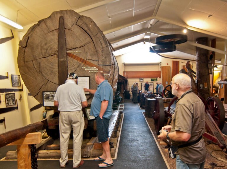 matakohe kauri museum 768x572