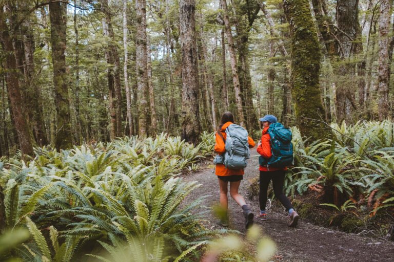 Kepler Track Transport 768x512