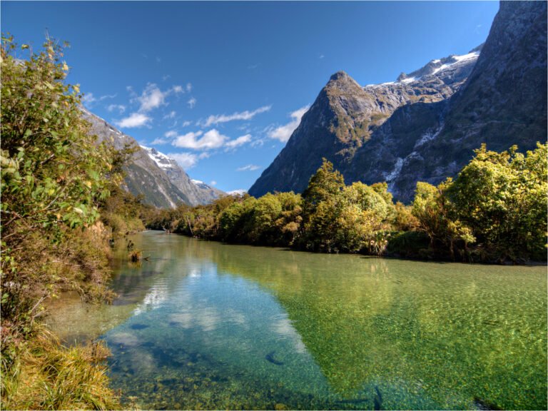 Milford Track Day Walk 768x576