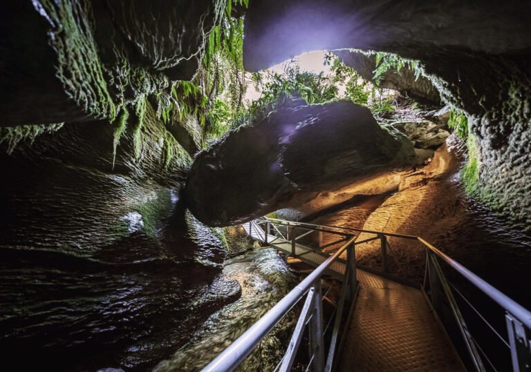 Te Anau Glowworm Caves 768x539
