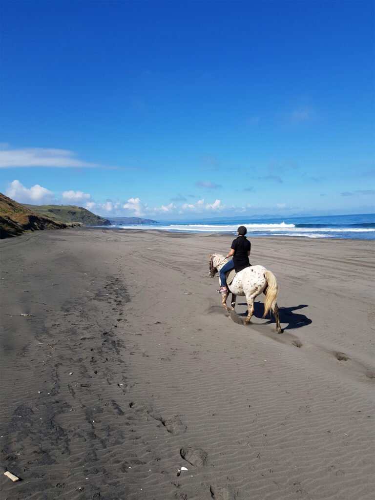 horse trekking raglan 1 768x1024