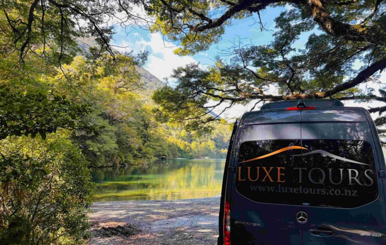 milford sound tours from te anau 768x488