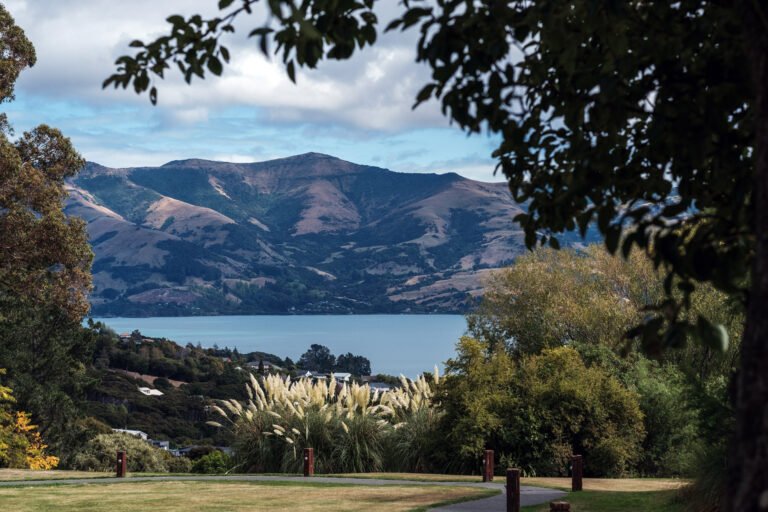 Akaroa wedding venue 768x512