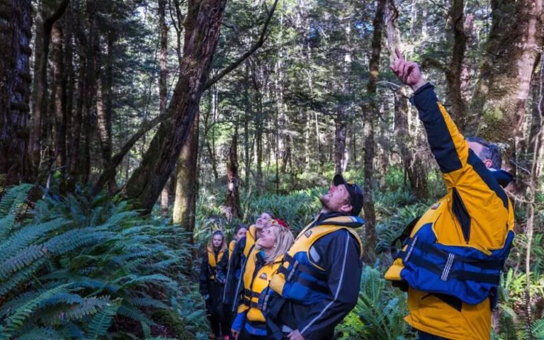 Kepler Track transport 768x480