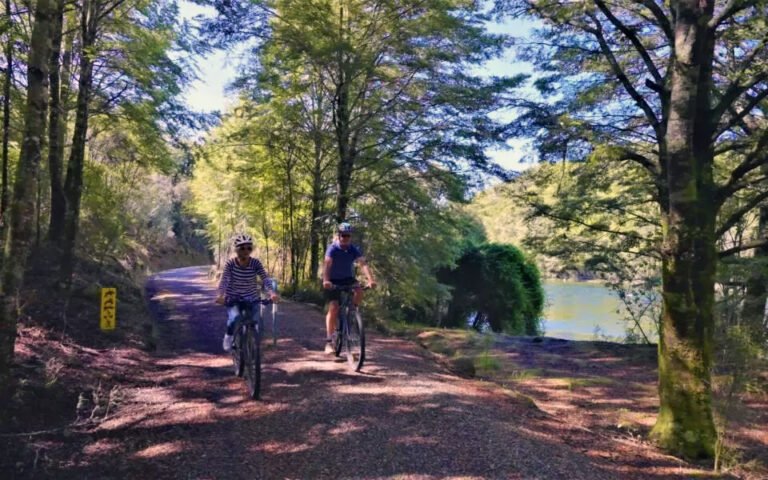 Te Anau bike hire 768x480