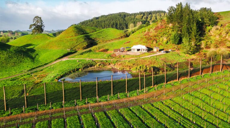 Waitomo farmstay 768x429