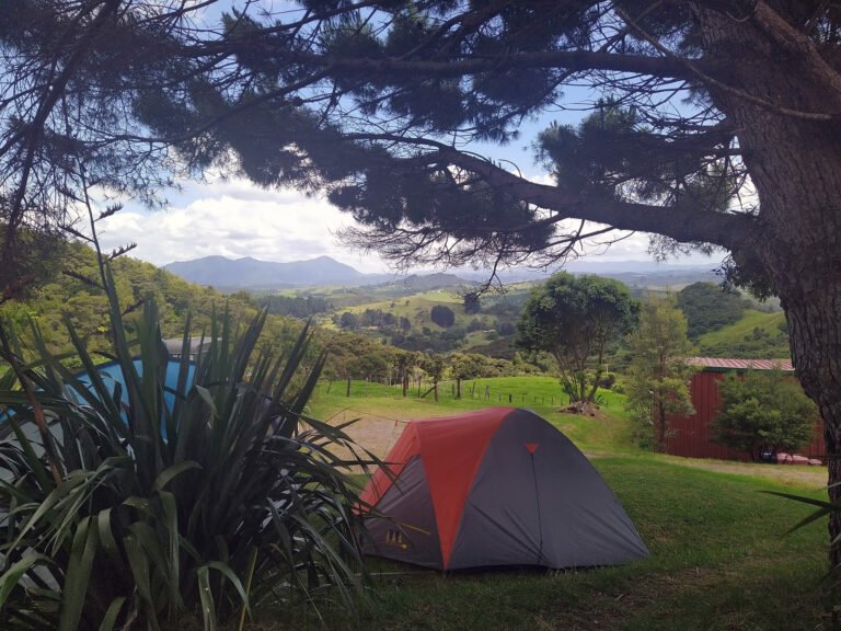Opononi Camping Ground 768x576
