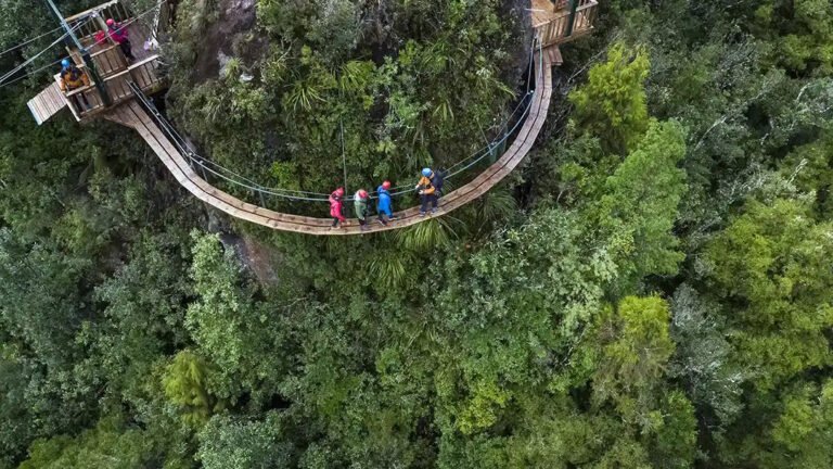 Rotorua Tree Top Walk 768x432