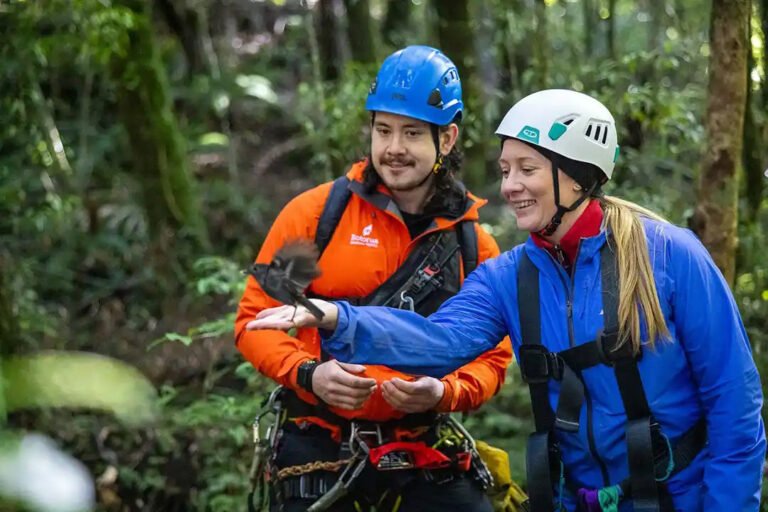 Rotorua forest tour 768x512