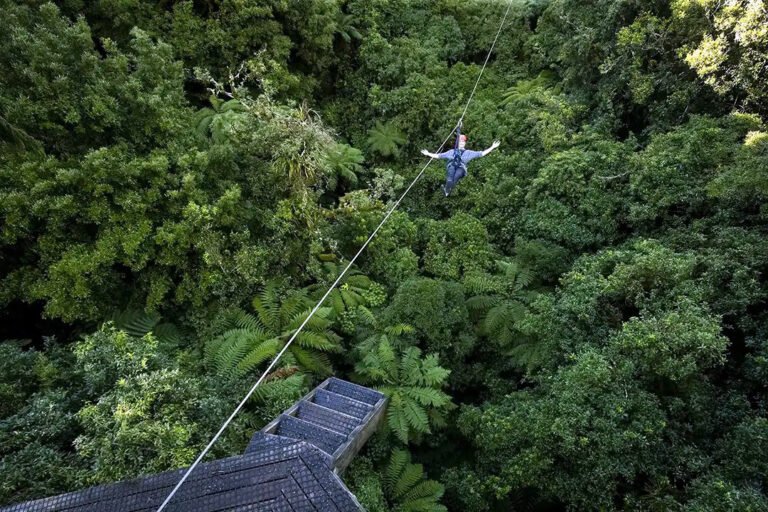 Zipline Rotorua NZ 768x512