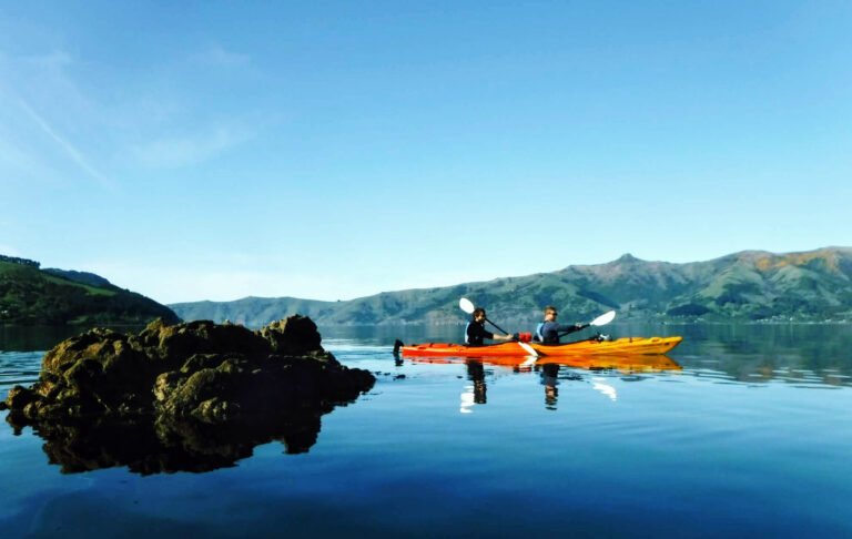 akaroa guided kayak tour 768x486