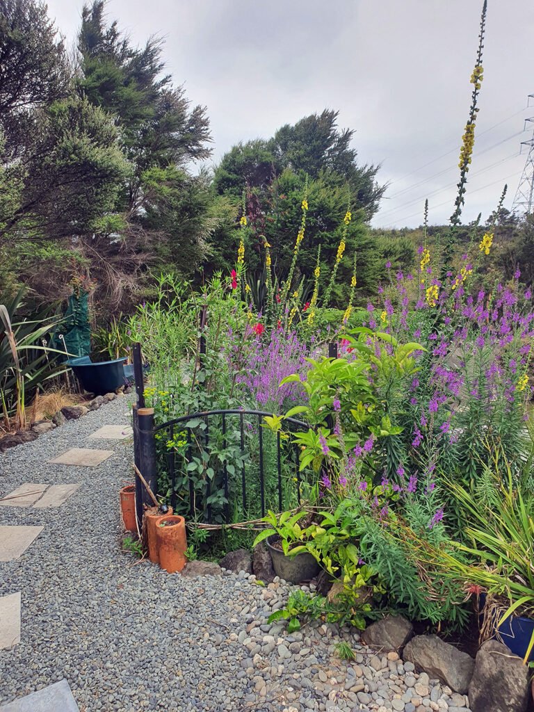 accommodation kaukapakapa 768x1024