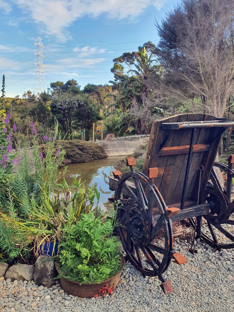 bed and breakfast in auckland 768x1024