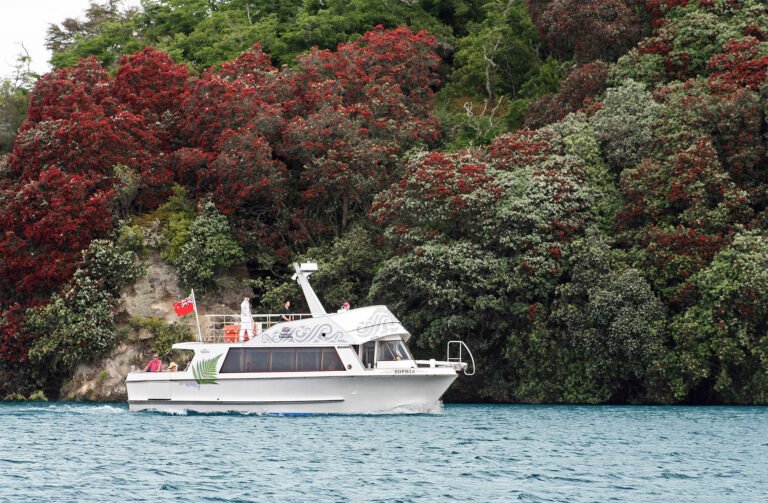 boat cruise rotorua 768x503