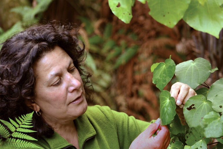 maori experience rotorua 768x512