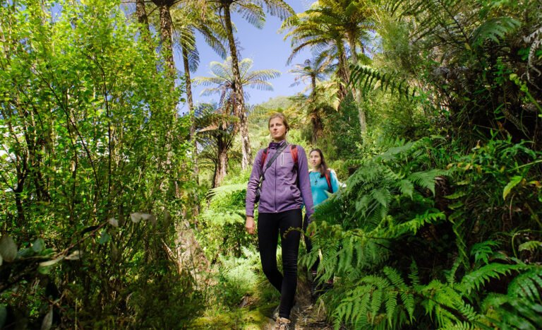 tarawera walk 768x467