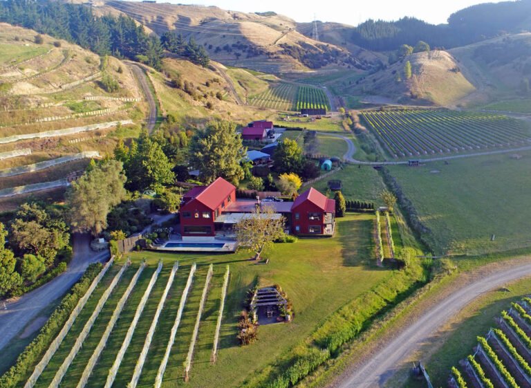 napier vineyard accommodation 768x561