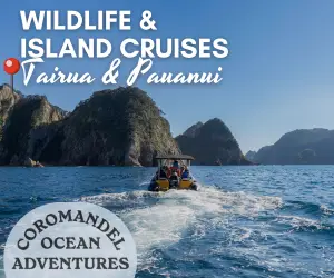 Daily boat tours leaving from Tairua and Pauanui, Coromandel Coromandel Ocean Adventures, Tairua & Pauanui