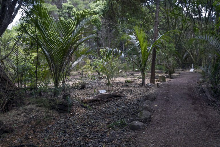 maori village 768x512