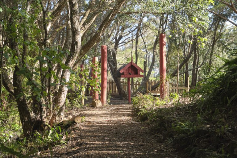 things to do kerikeri 768x512