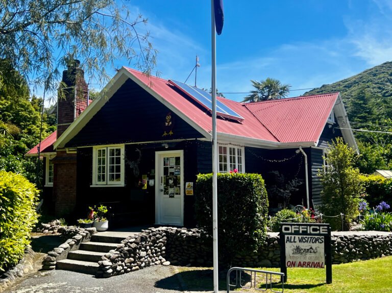 wellington kiwi holiday park 768x574