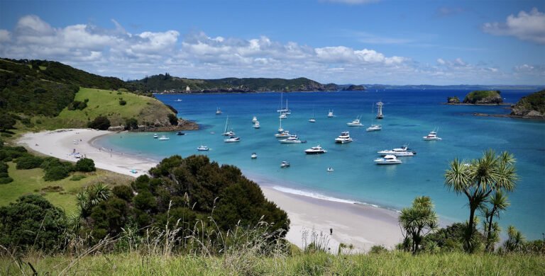 bay of islands cruise 1 768x390